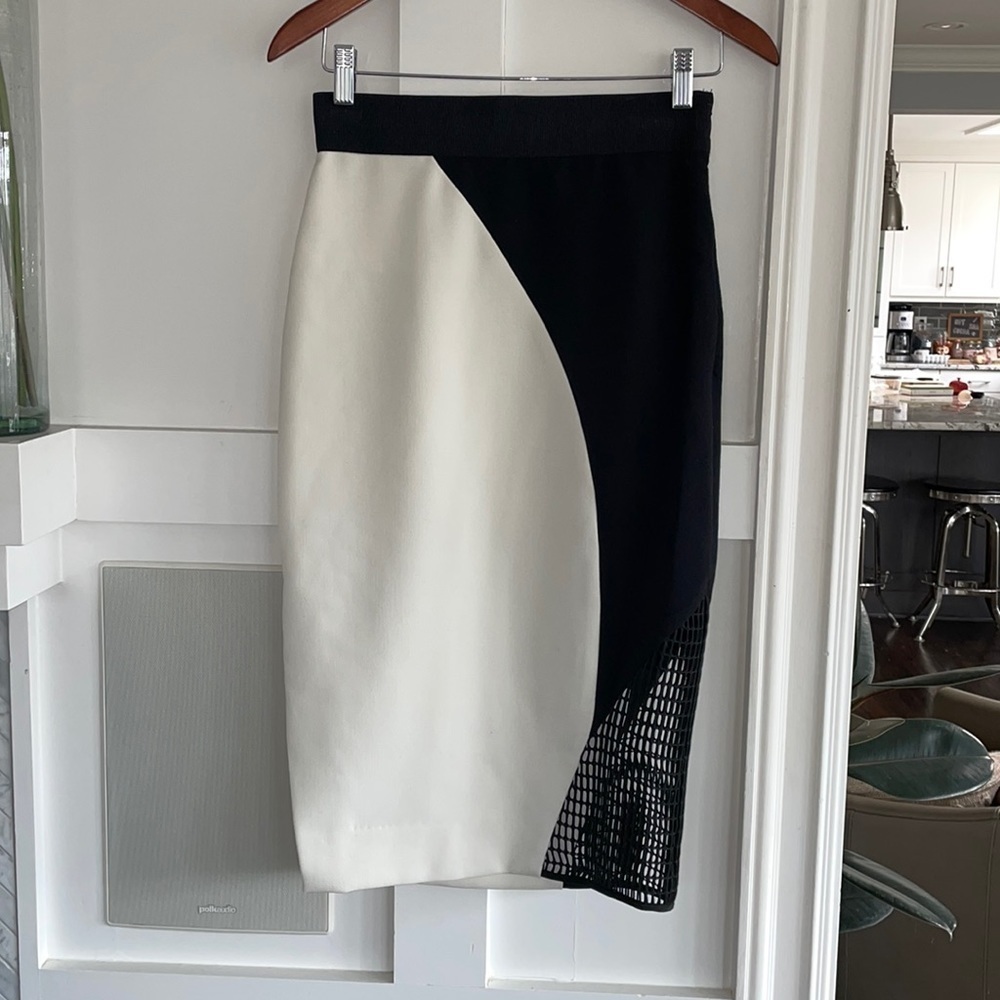 Milly Helix Mesh Skirt - Picture 5 of 15